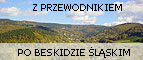 Beskidlski przewodnik